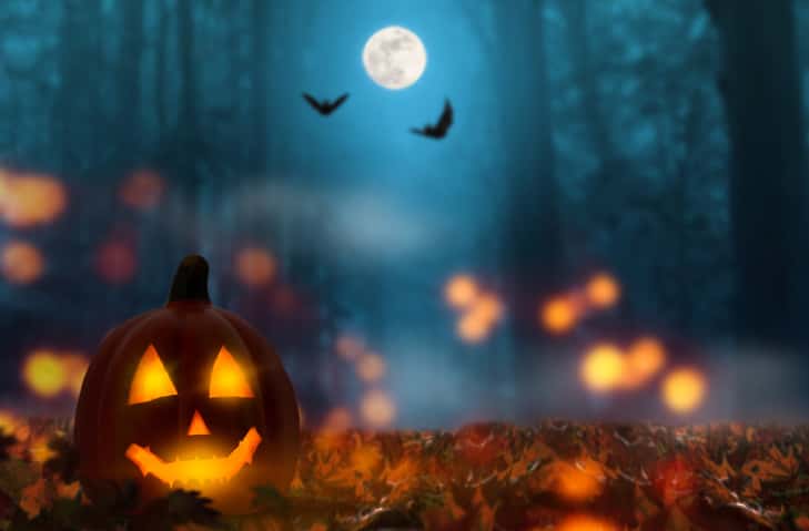 jack lantern in the halloween night