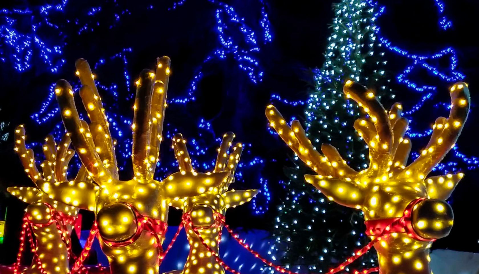 Christmas lights of reindeers