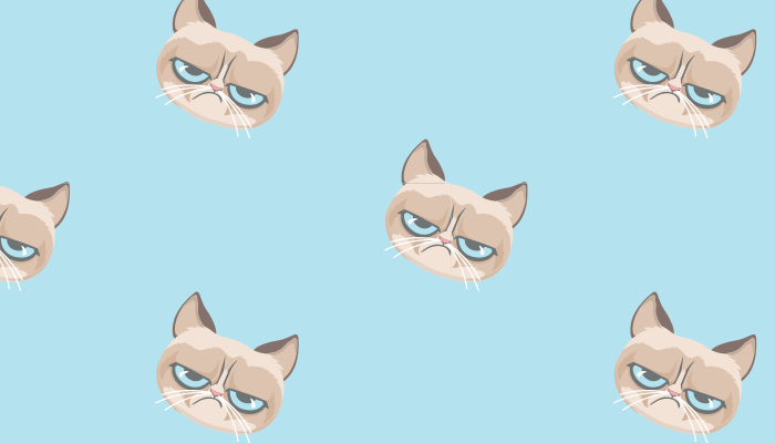 grumpy cat background tumblr