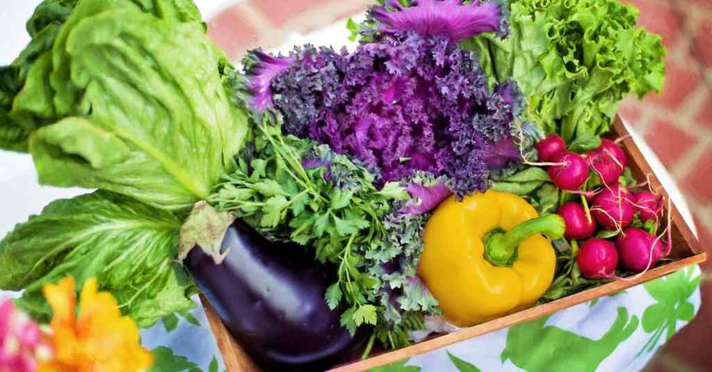 10 Hacks to Keep Your Garden Growing All Year Long