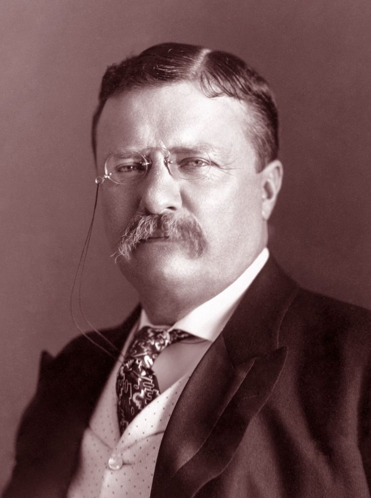 President Theodore Roosevelt