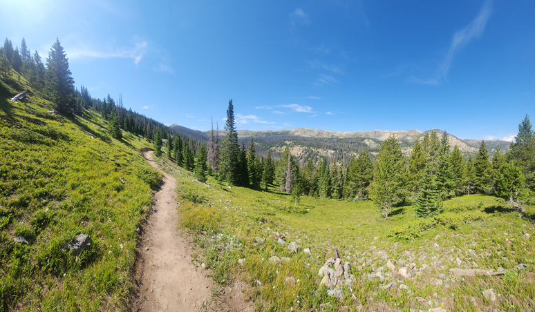 Collegiate Peaks Wilderness, Colorado
