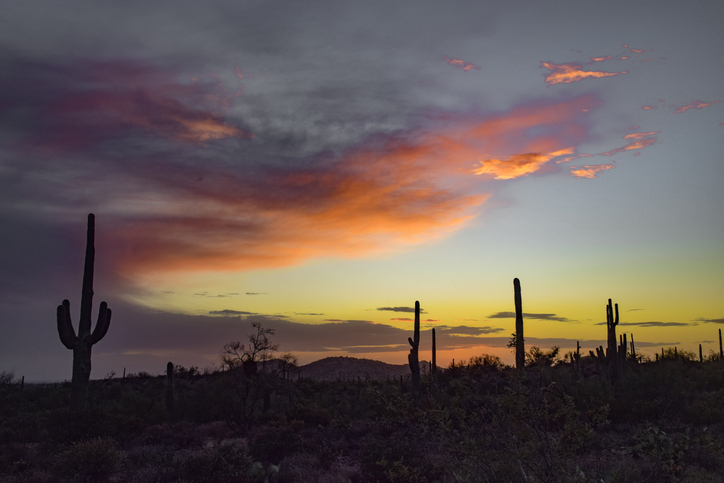 Arizona Sunset