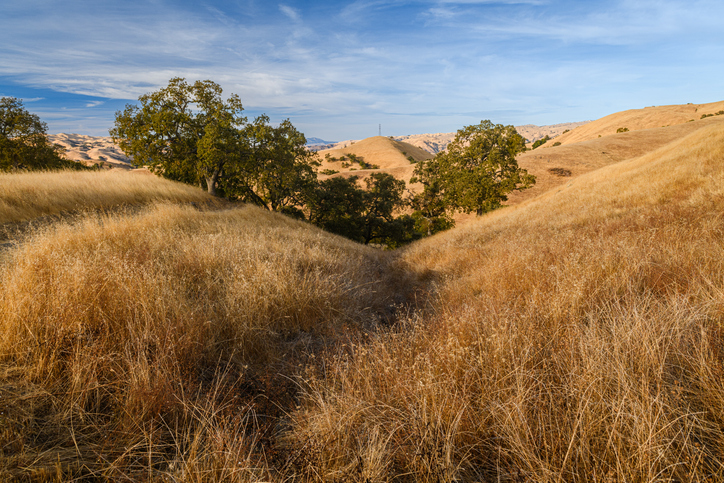 The Sierra Vista Open Space Preserve in San Jose