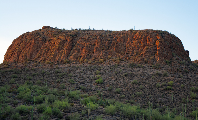 Arizona Desert Mesa At Golden Hour