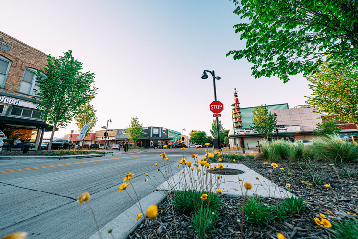 Yellow Flowers in Garland City Square, Texas in the Springtime