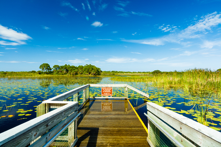 Florida Nature Preserve