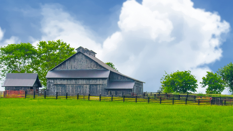 Old Weathere Barn with fence and cattle-Richmond, Kentucky