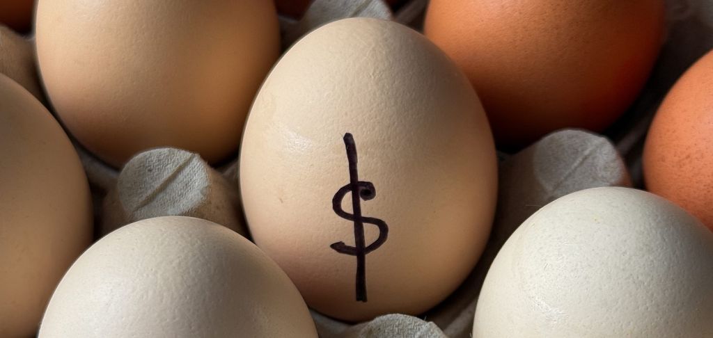 Dollar sign drawn on egg
