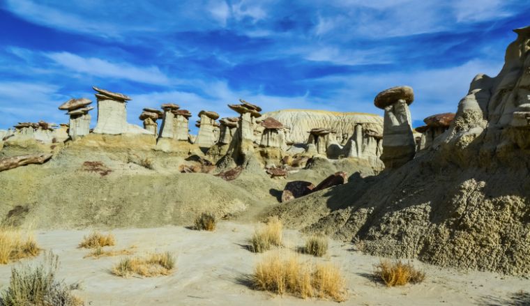 Farmington, New Mexico