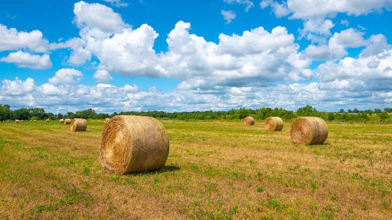 Rolled Hay- Howard County, Indiana