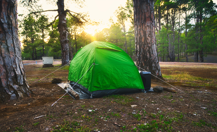A tent in the forest