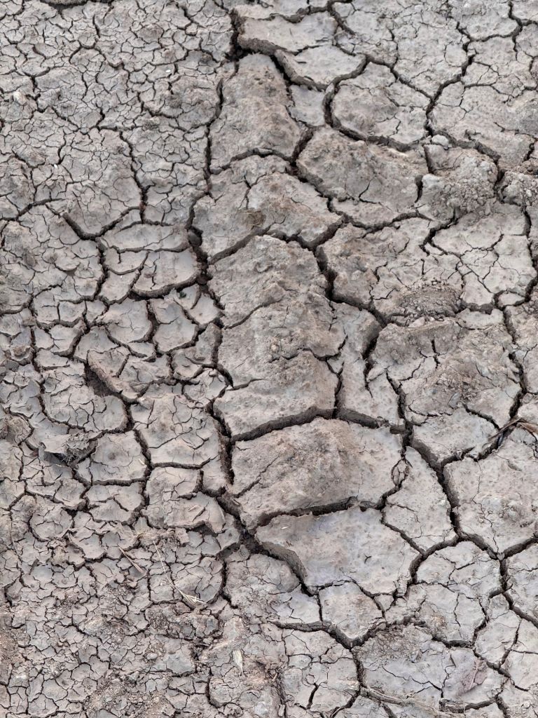 Dry land