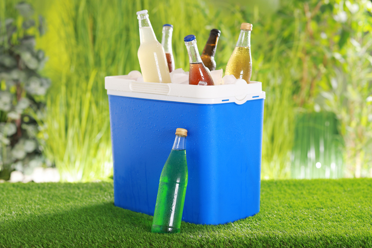 Small Cooler or Tote Bag