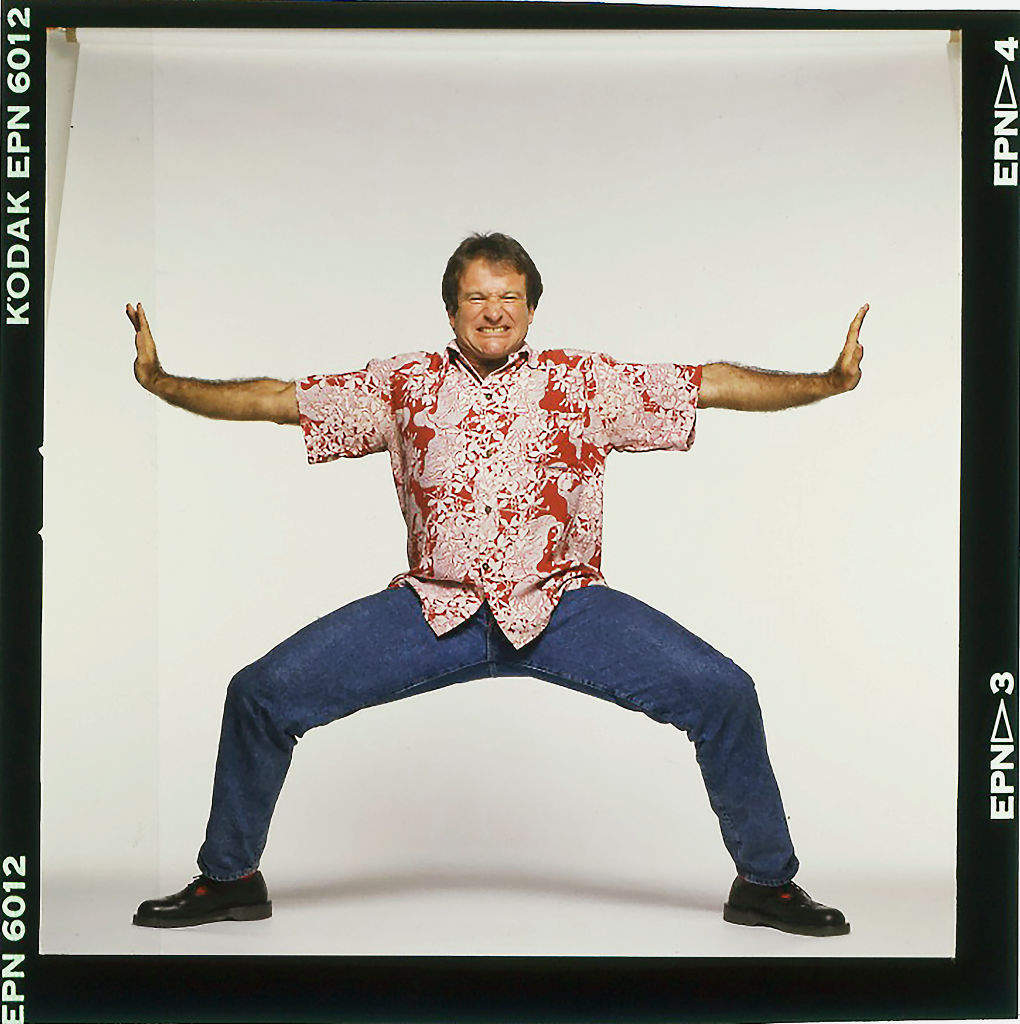 Portrait Of Robin Williams