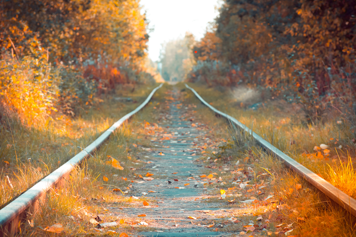 An old rail Track Runs through Forest