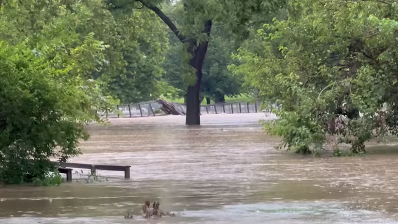 Flooded park with benches and a tree partially submerged in the rising water.
