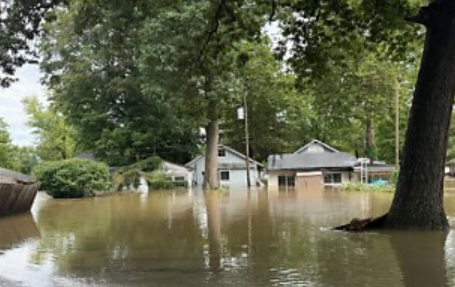 Flooded residential neighborhood with houses partially submerged in standing water amid trees.