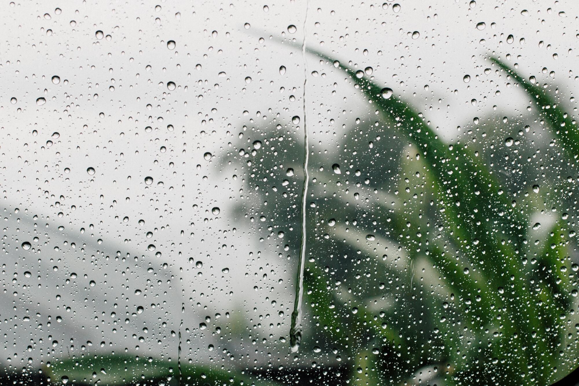 Maintenance tasks that homeowners tend to forget in rainy season